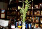 До уваги парафіян 