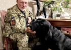 Собака і православний храм