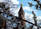 Шостий тиждень посту (відео)