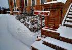 Богослужіння у лютому (відео)