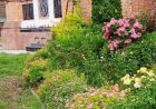 Триває Апостольський піст. Завдання на Петрівку