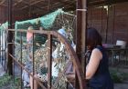 Допоможемо нашому війську! (фото) Допоможемо нашому війську! (фото)