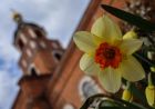Духовна зрілість сильної людини