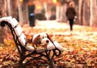 Впадати в депресію - означає забути, що для тебе зробив Бог